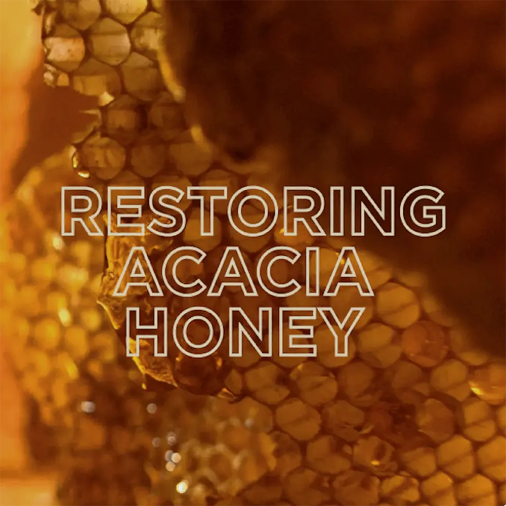 Garnier Ultra Doux Honey Treasures Hair Remedy Restructuring Mask - 340 ml thumbnail 2