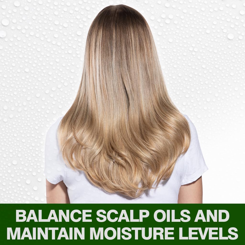 CHI Tea Tree Oil Shampoo - 739 ml thumbnail 3