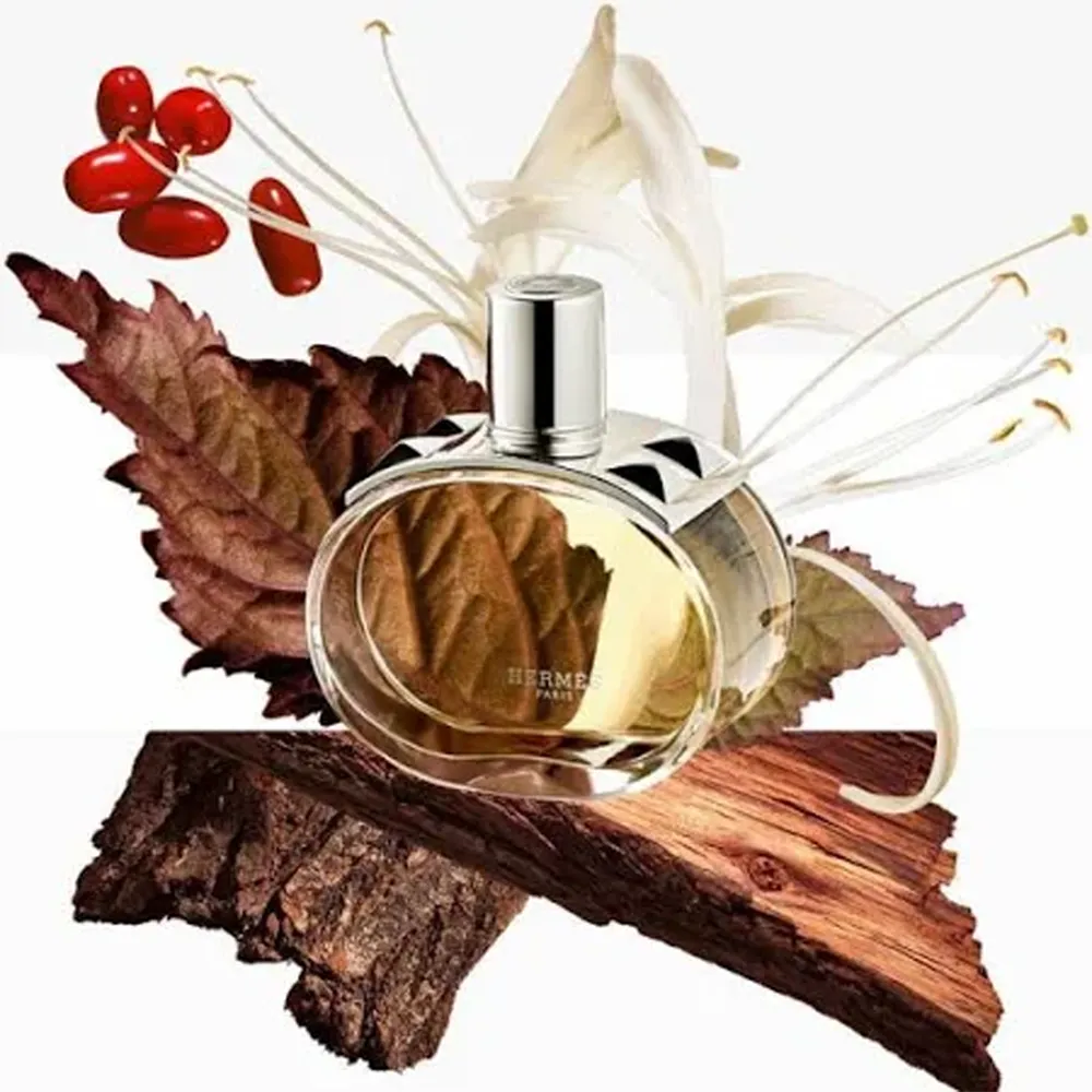 Hermès Barenia - Eau De Parfum For Women - 60 ml thumbnail 5
