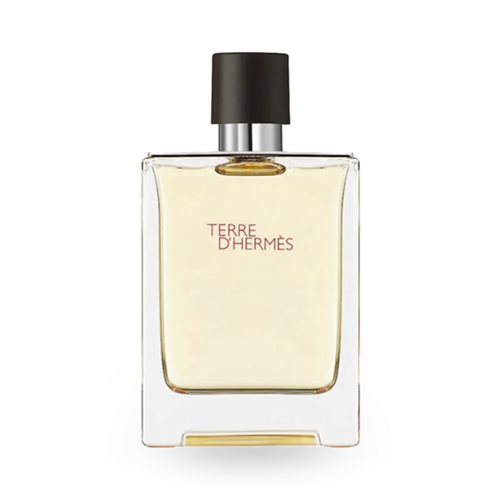 Hermes Terre d'Hermes Eau De Toilette - 100 ml thumbnail 1