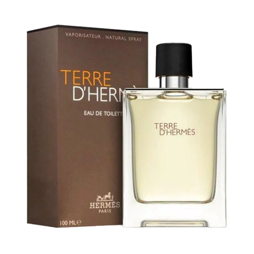 Hermes Terre d'Hermes Eau De Toilette - 100 ml thumbnail 2