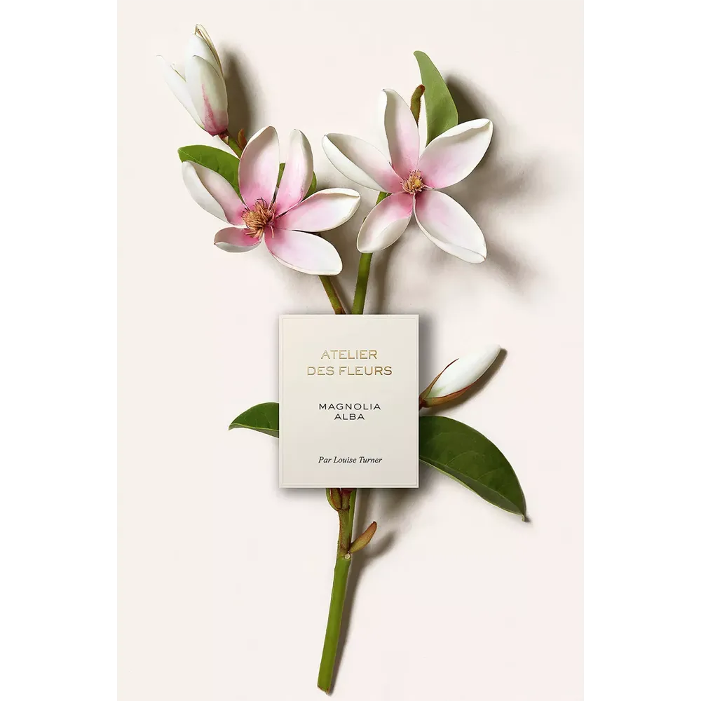 Chloe Atelier Des Fleurs Magnolia Alba Eau De Parfum - 50 ml thumbnail 4