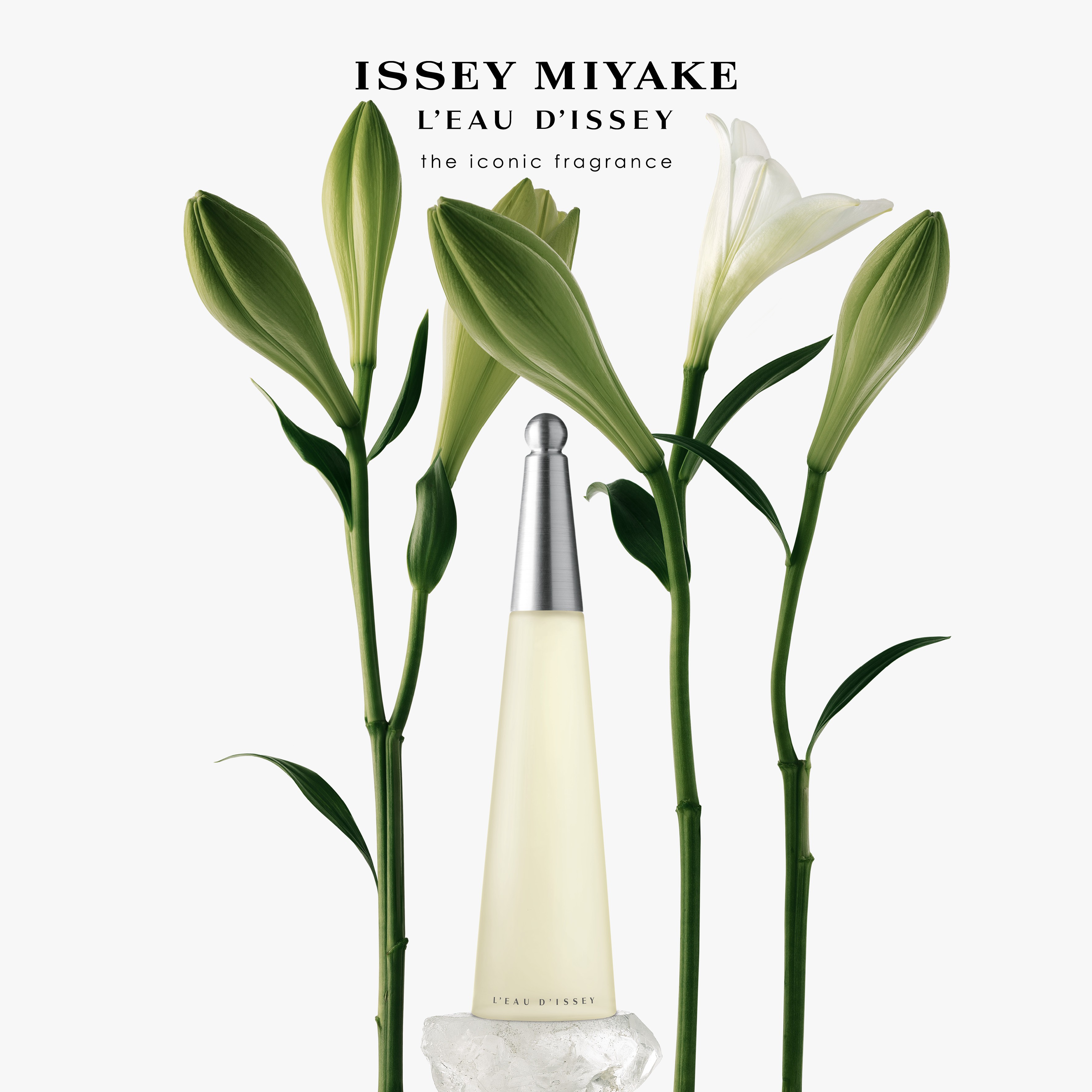 Issey Miyake L'Eau D'Issey Eau De Toilette - 50 ml thumbnail 2