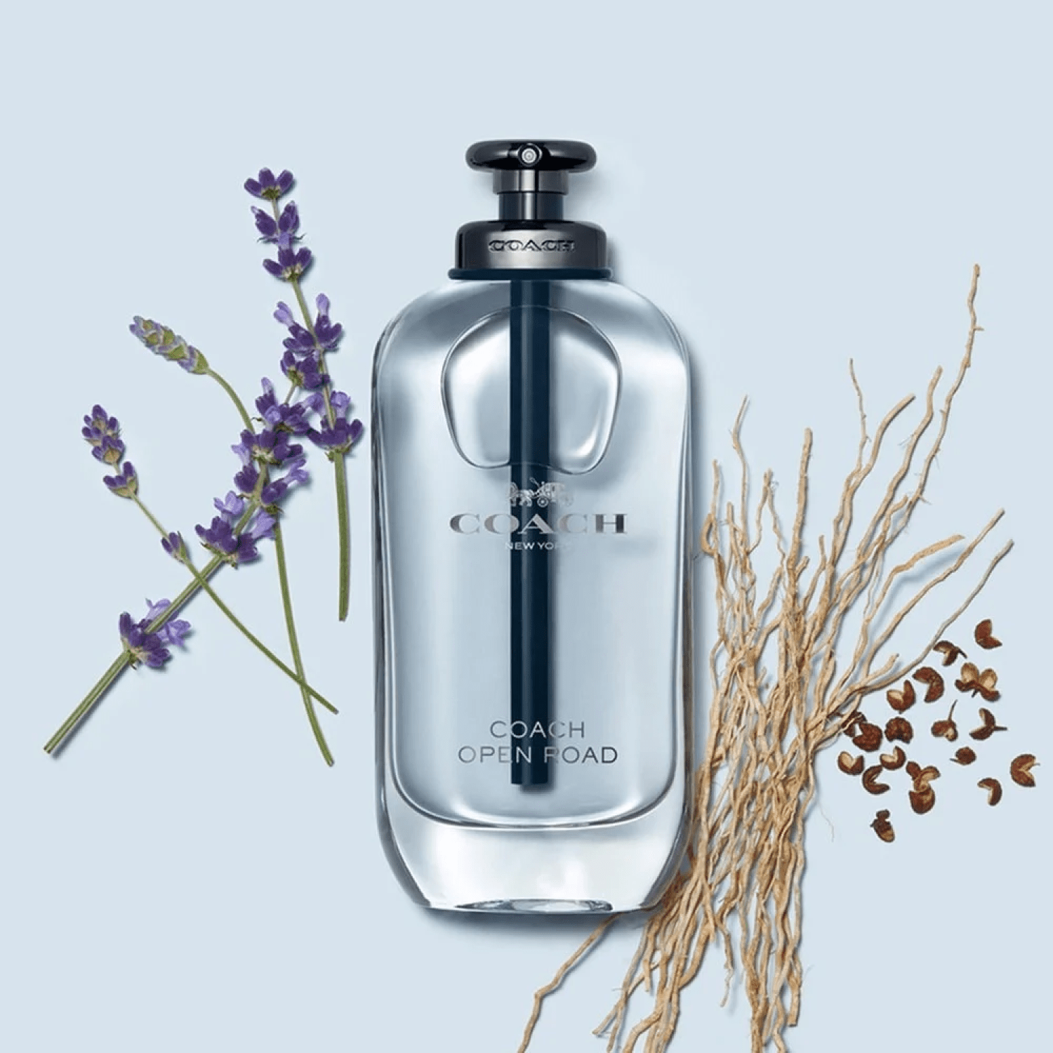 Coach Open Road Eau De Toilette - 100 ml thumbnail 3