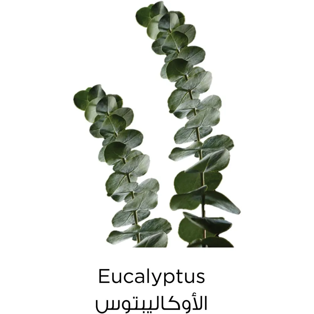 منظف وجه بالطين الأخضر من لوريال باريس - 150 مل thumbnail 3