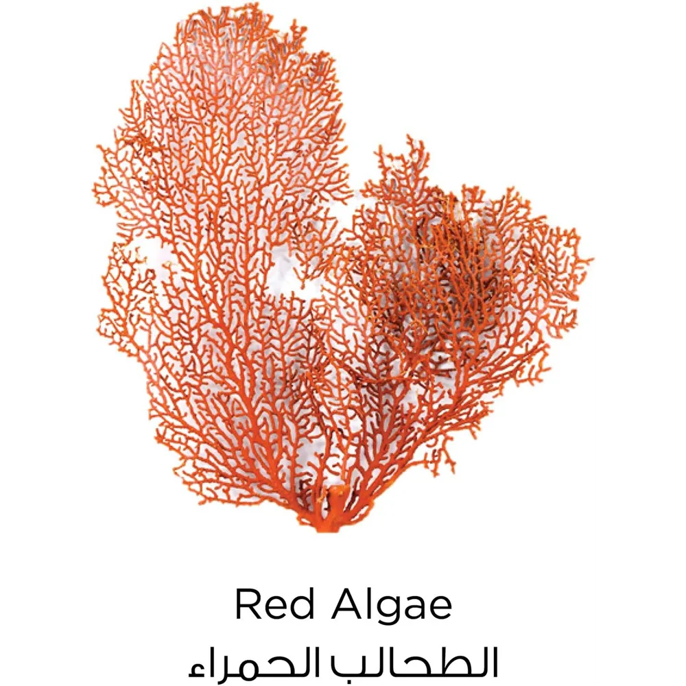L’Oréal Paris Pure Clay Red Face Wash - 150 ml thumbnail 3