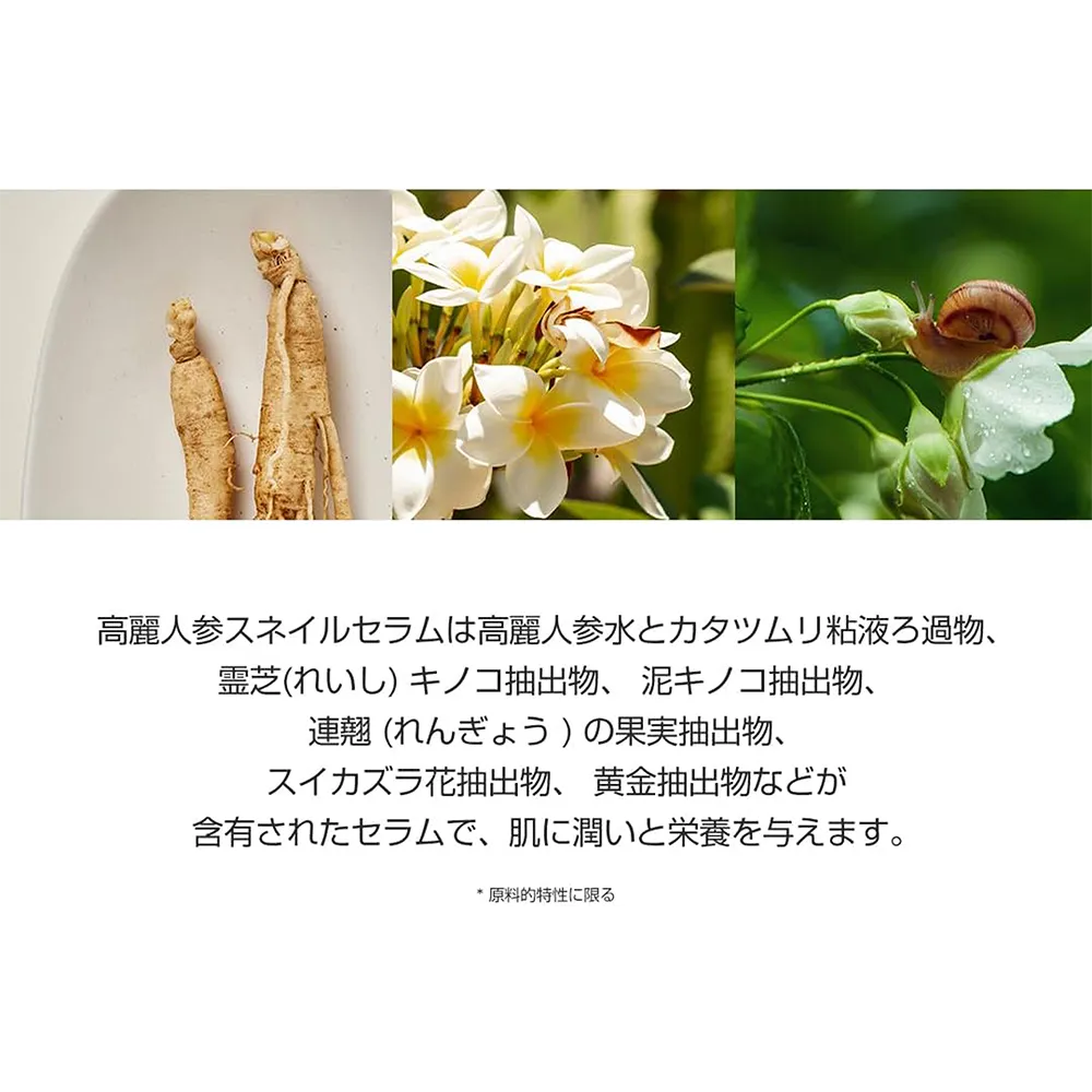 Beauty Of Joseon Revive Serum (Ginseng & Snail Mucin) - 30 ml thumbnail 4